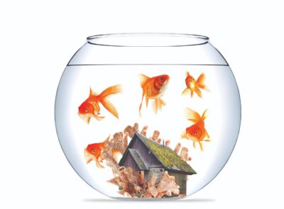 The Great Housing Dilemma