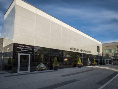 Wildlife Health Centre