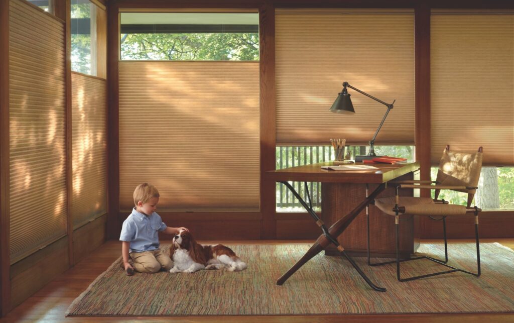 window coverings