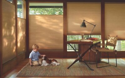 window coverings