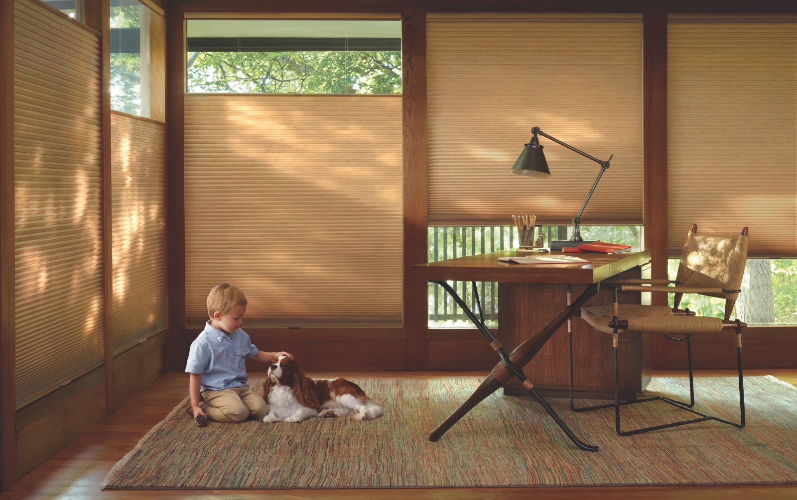 window coverings