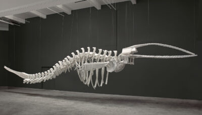 Brian Jungen’s Archive