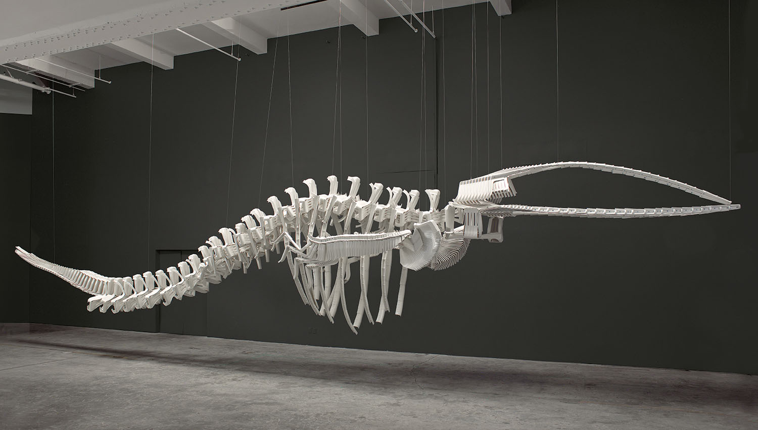 Brian Jungen’s Archive