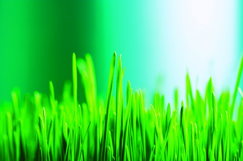 Green Grass