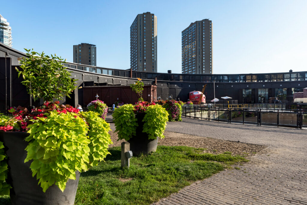 City Park in Toronto