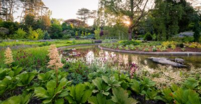 Watergarden