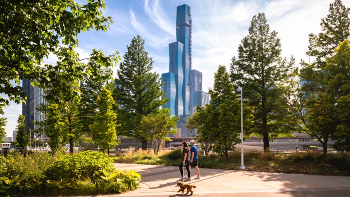 The Urban Architect