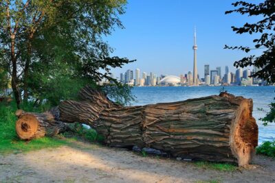 One of the best photo spot in Toronto