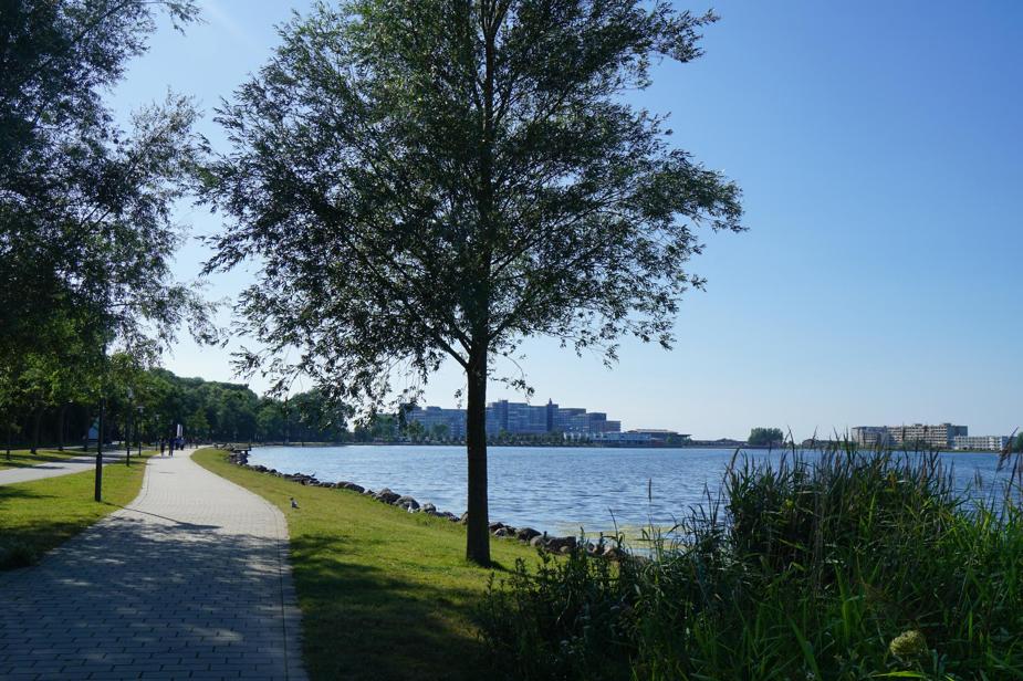 Serene views along the Waterfront Trail in Toronto