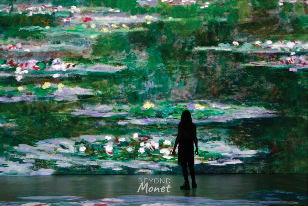 Beyond Monet