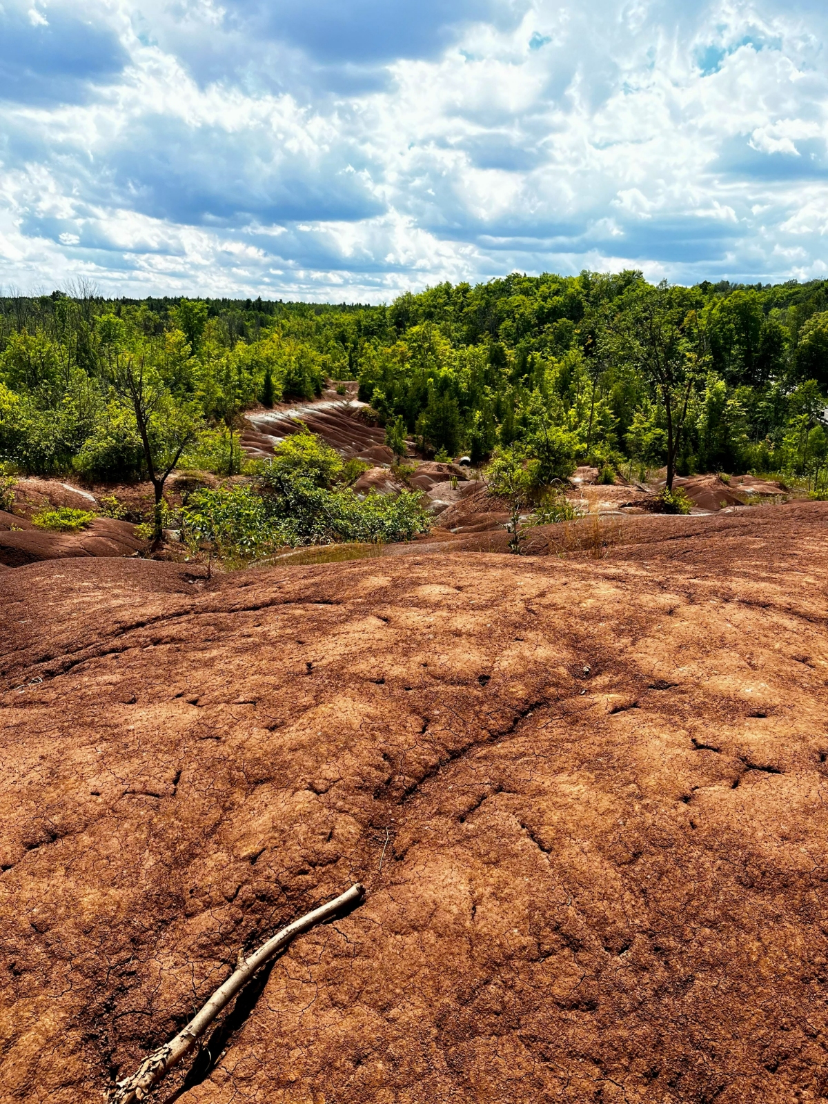 Badlands