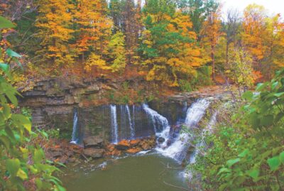 Falls