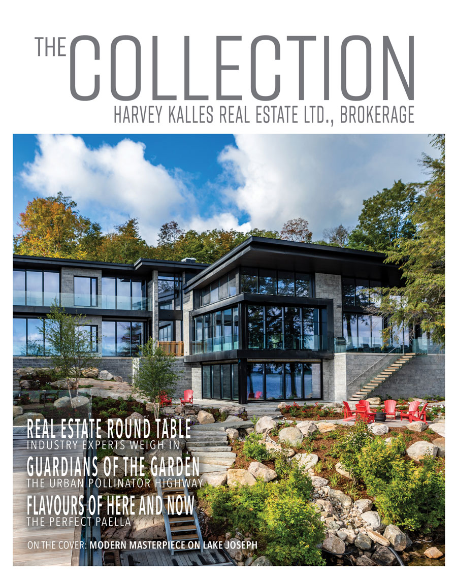 The Collection Magazine thumb