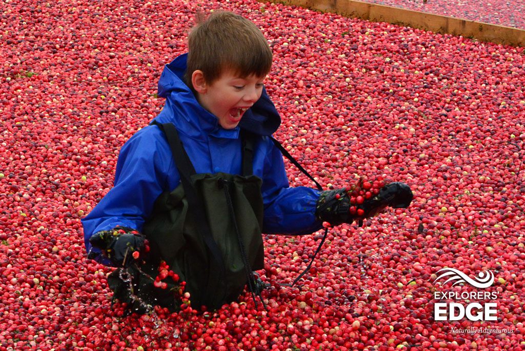 Bala Cranberry Festival