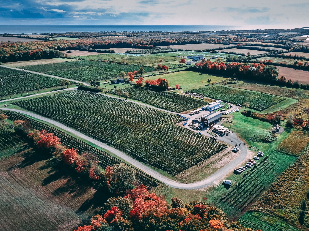 Discover Beauty of Edward County