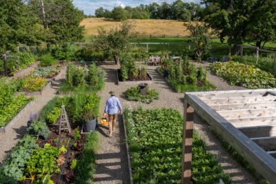 Spacious garden your own