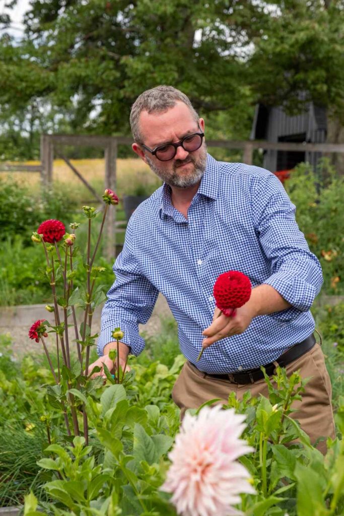 Picking a beautiful flowers
