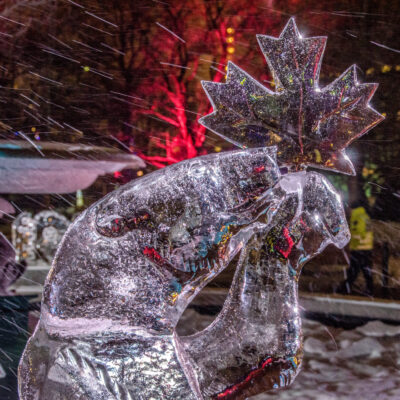 Ice sculpture of a polar bear holding a maple leaf at the 2013 Ottawa Winterlude Festival