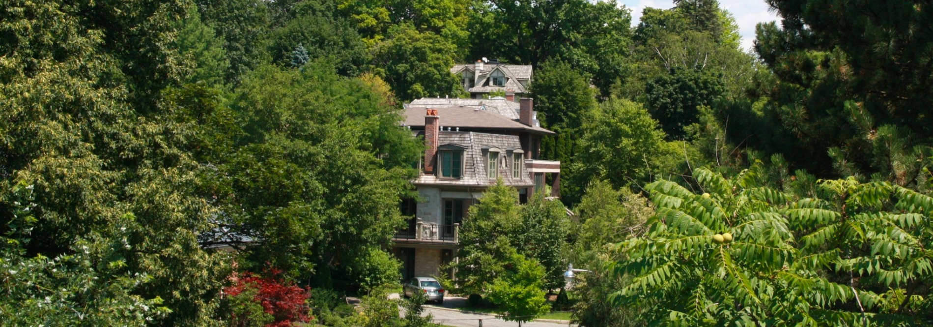 Lawrence Park