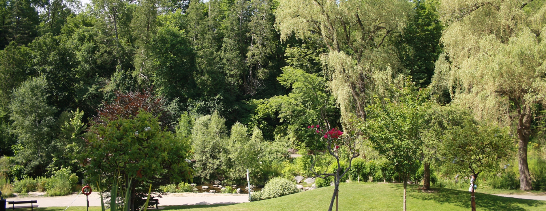 The Bridle Path