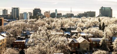 Toronto Trees