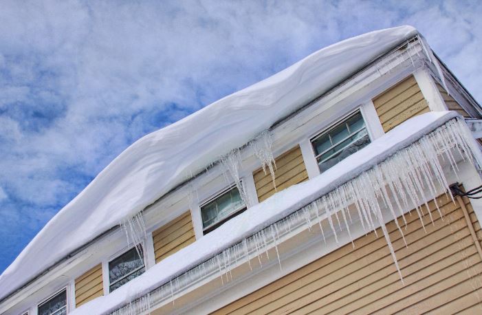 Winter House