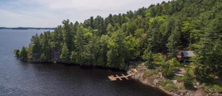 island-forest