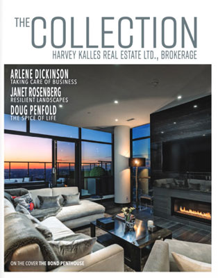 The Collection Magazine thumb